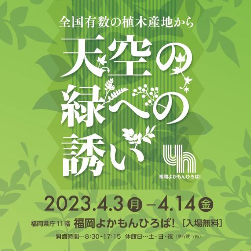 「天空の緑への誘い」の紹介画像