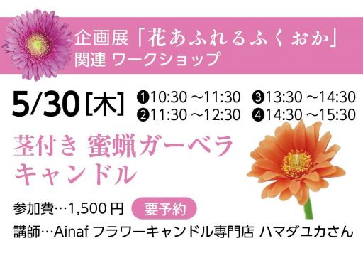 「【既に終了】茎付き　蜜蝋ガーベラキャンドル（既に満席です）」の紹介画像