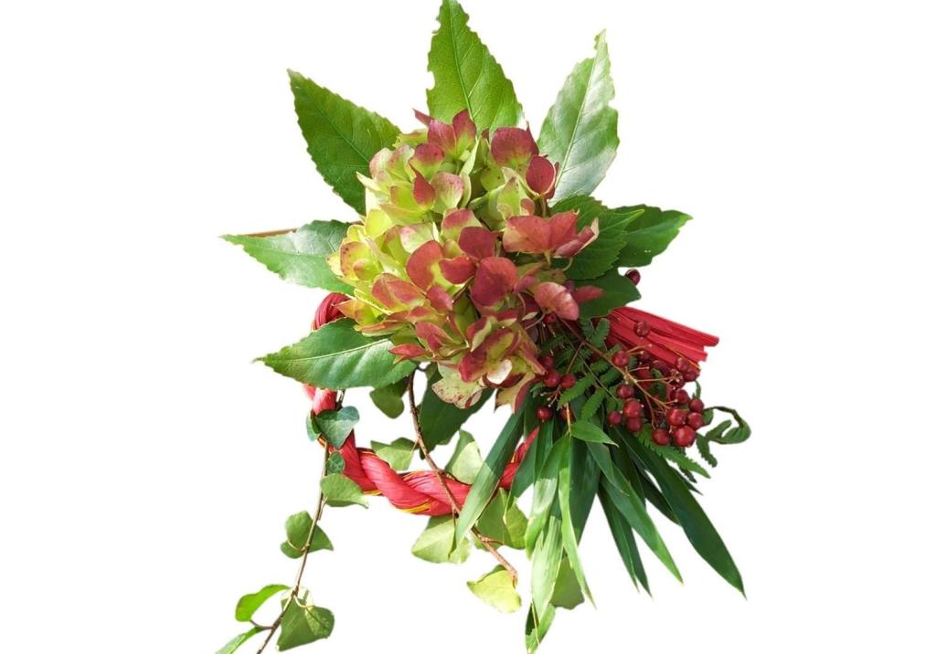 南畑の植物を使います