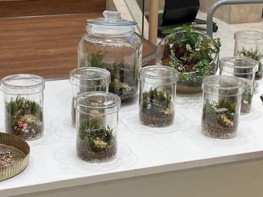 「【申し込みを締め切りました】苔のテラリウムをつくろう！」の紹介画像